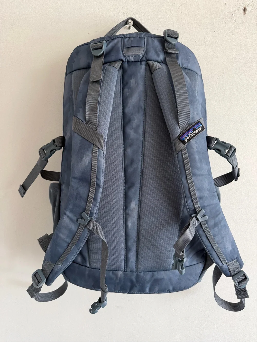 Patagonia lightweight technical